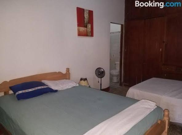 Casa Lucys Hostal Granada Dış mekan fotoğraf