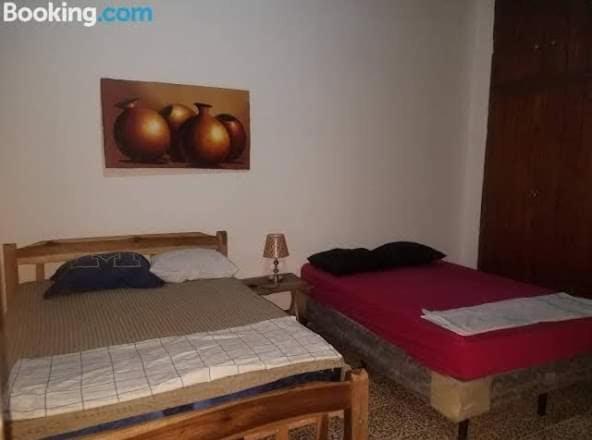Casa Lucys Hostal Granada Dış mekan fotoğraf
